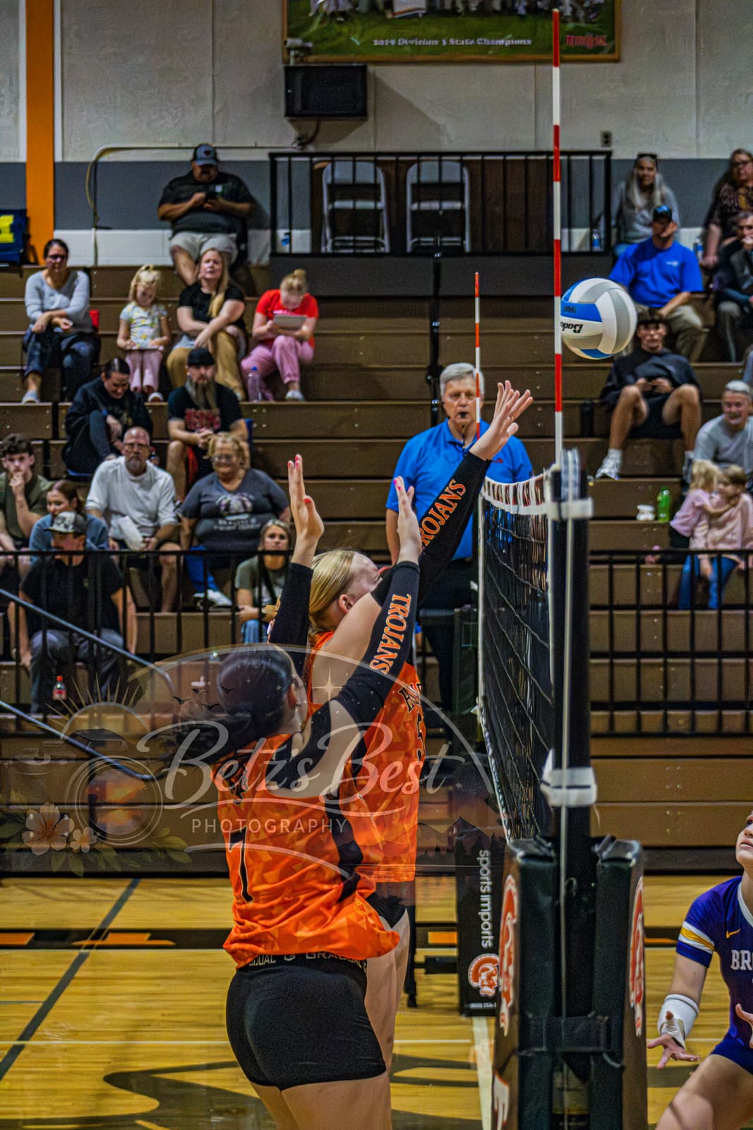 Volleyball photograph 5