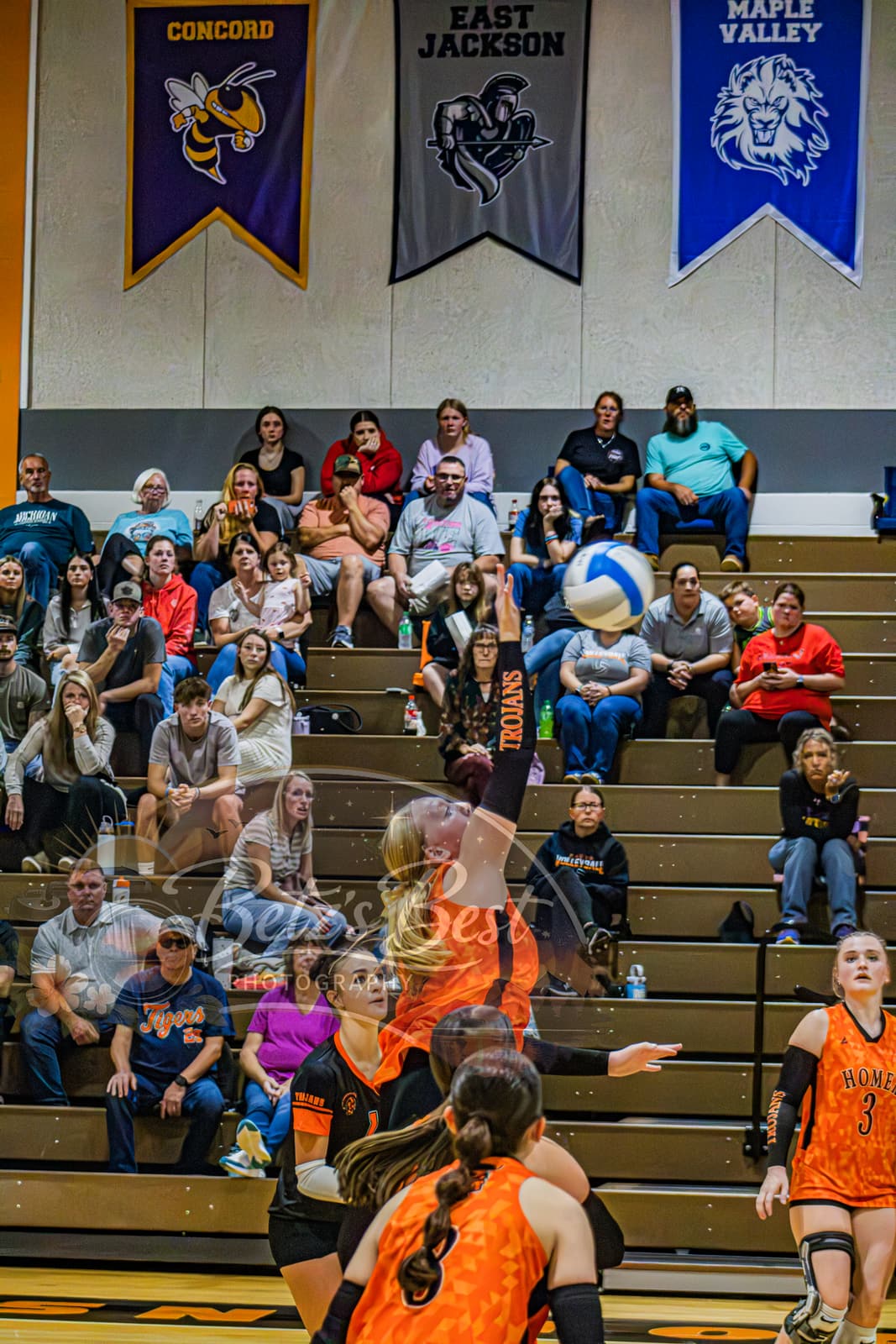 Volleyball photograph 13