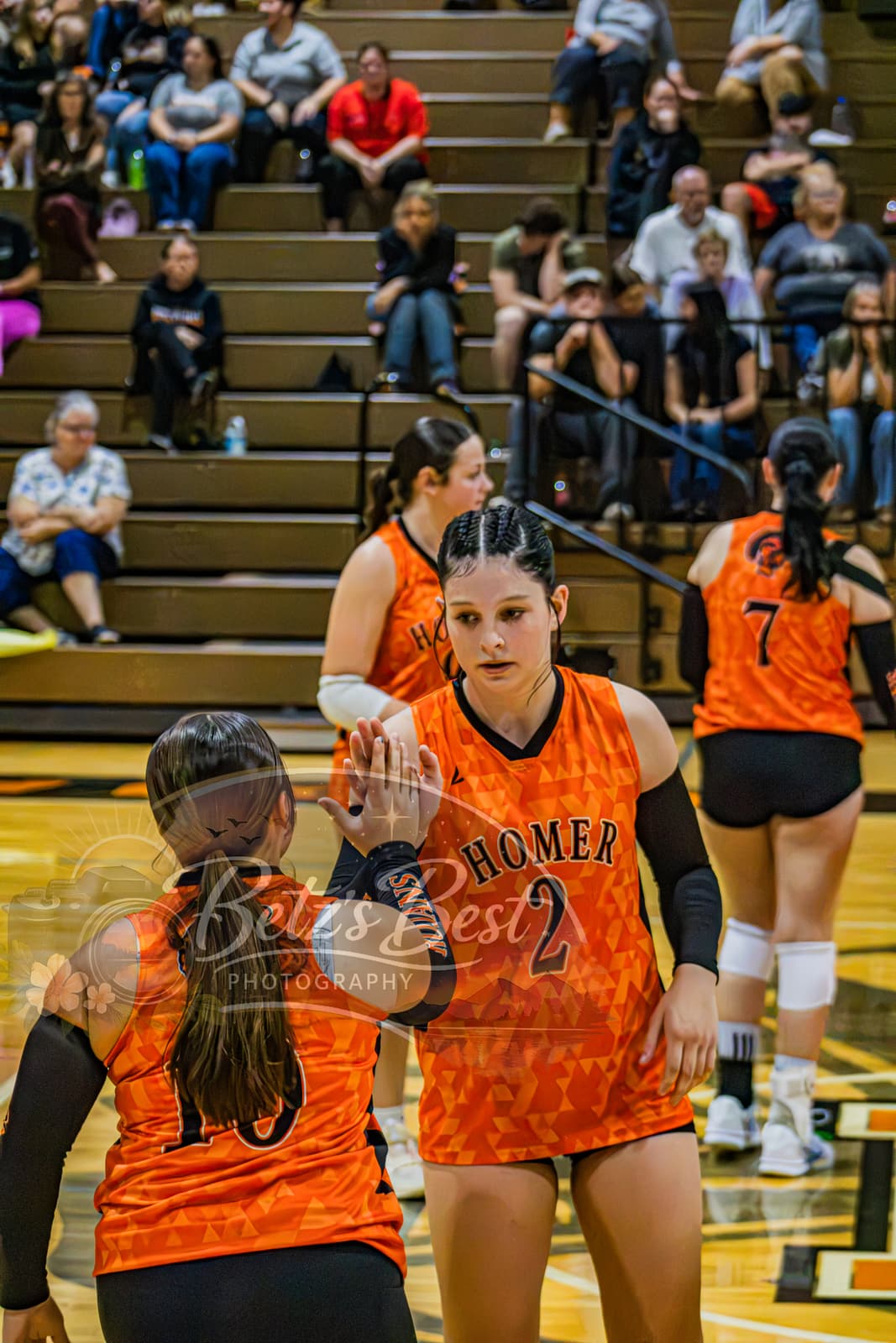 Volleyball photograph 31