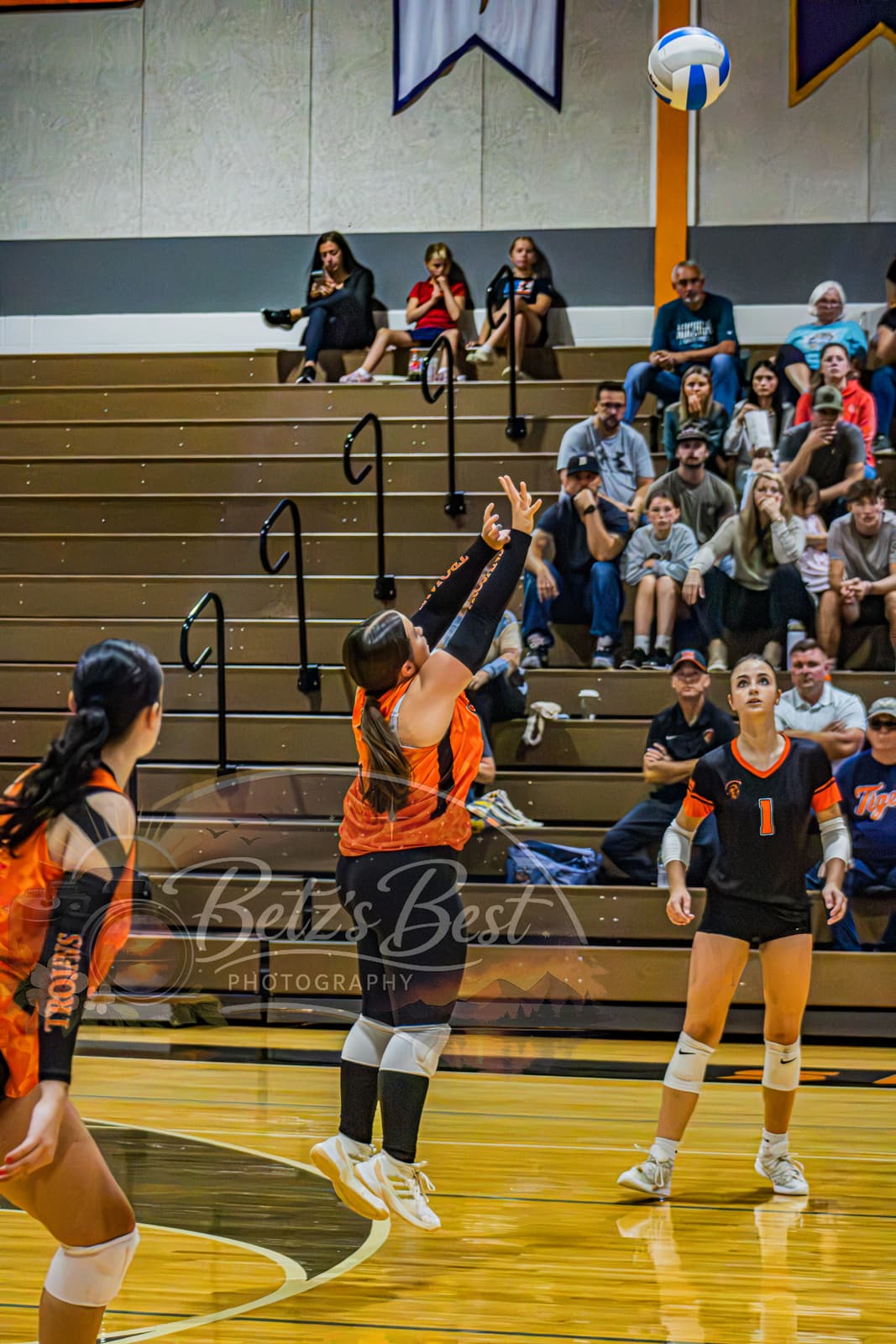 Volleyball photograph 37
