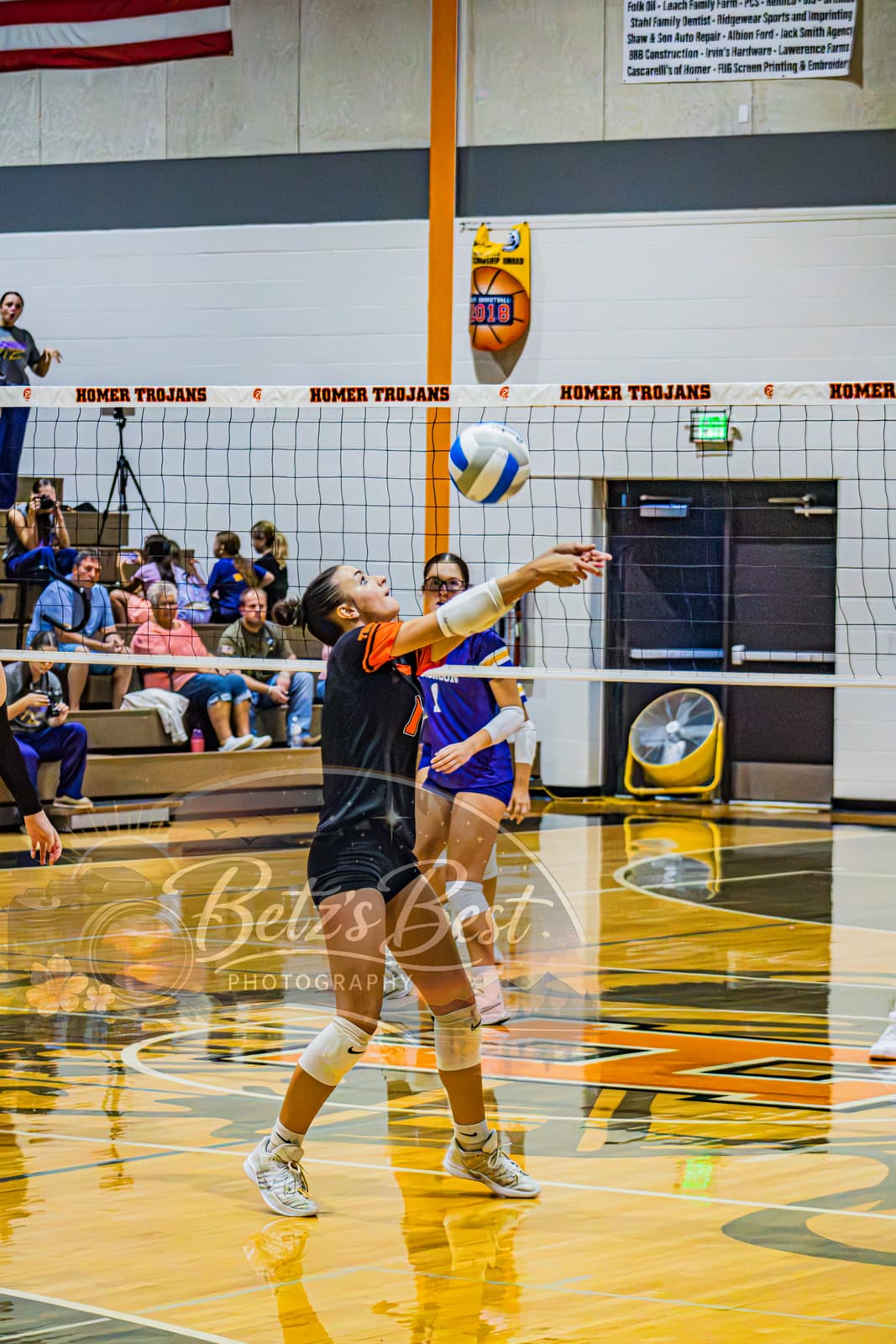 Volleyball photograph 41