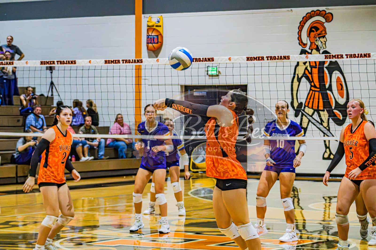 Volleyball photograph 42