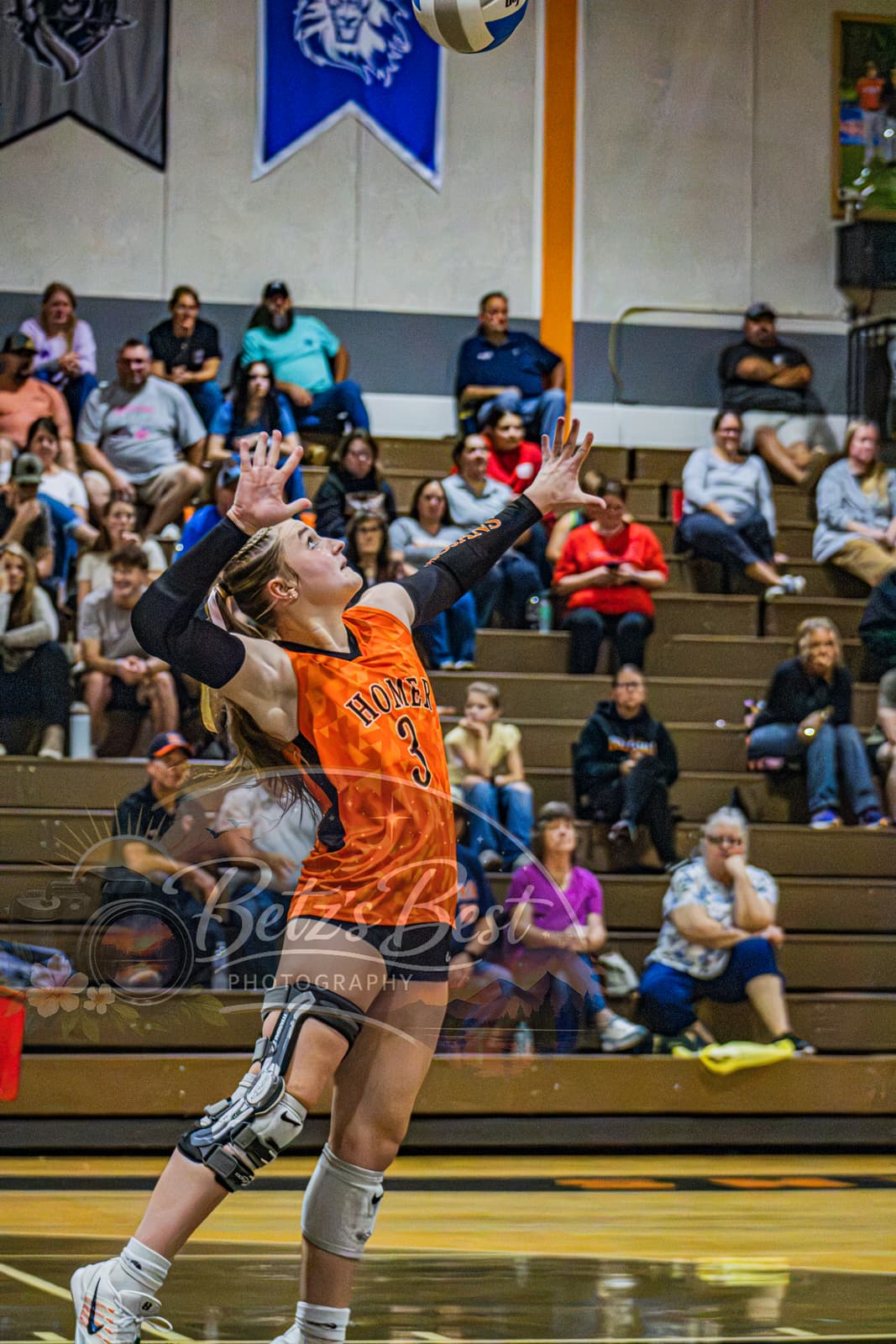 Volleyball photograph 50