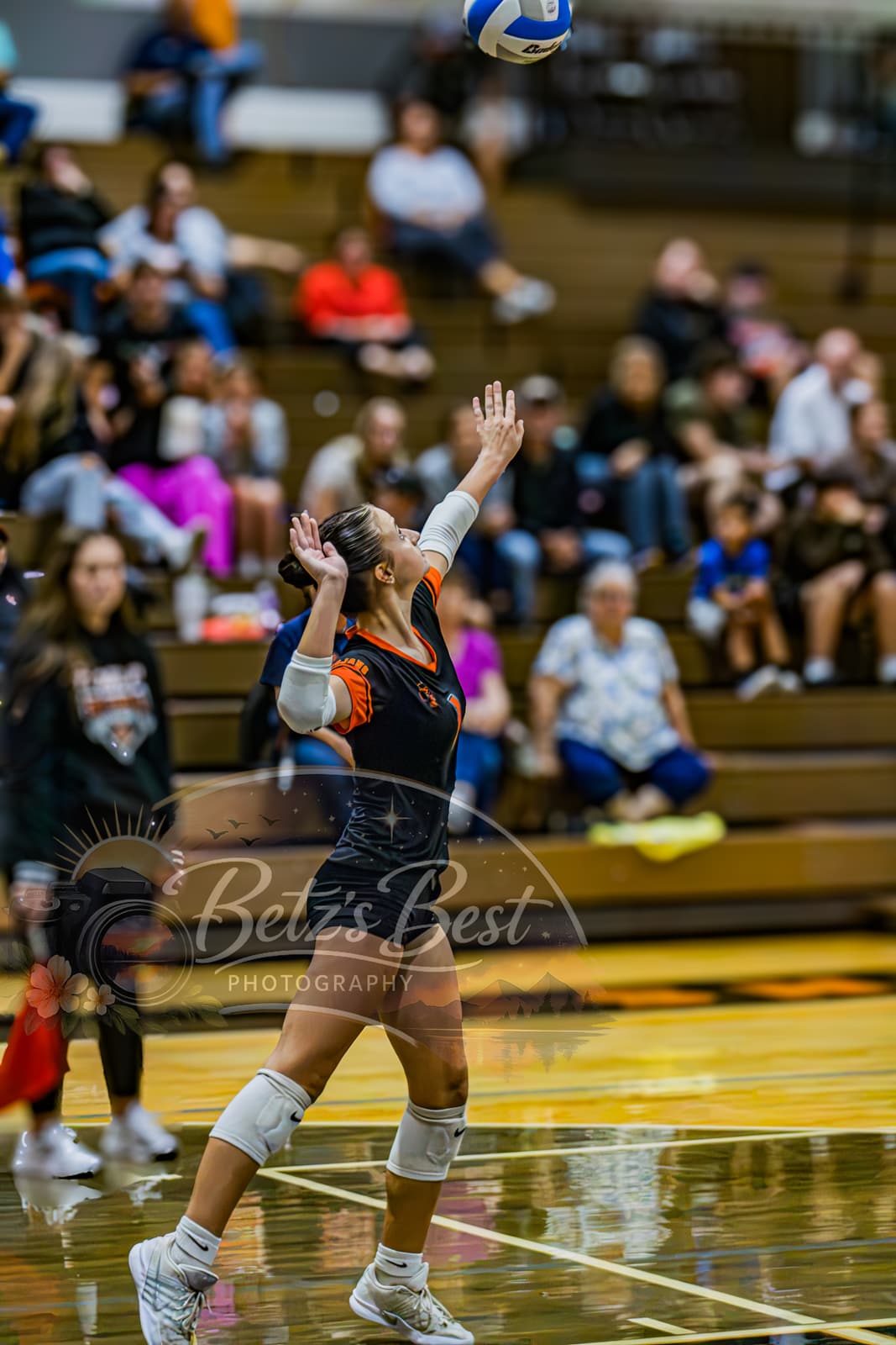 Volleyball photograph 67