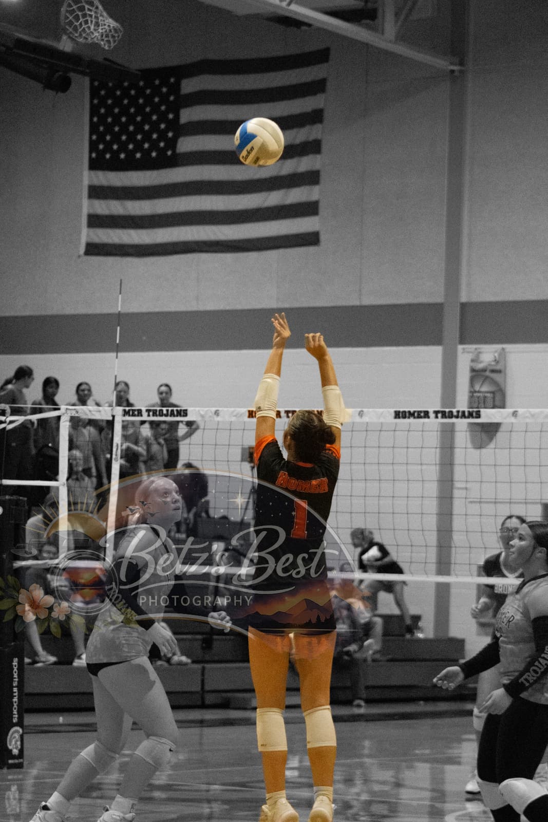 Volleyball photograph 73